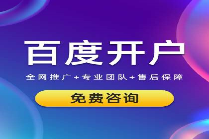 百度竞价策略解析：案例分析及优化建议